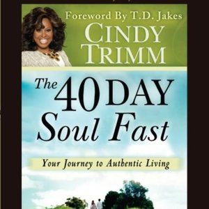 The 40 Day Soul Fast: Your Journey to Authentic Living